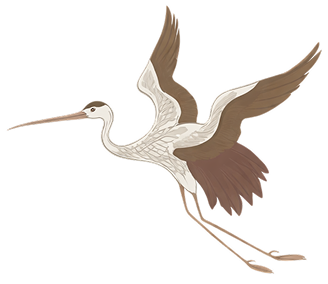 bird img